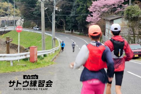 古代ロマン石舞台古墳と絶品ジェラート 絶景のお花見ラン マラニック 44k【サトウ練習会】