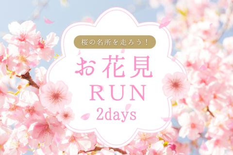 【3/29(日)】約12kmが桜並木！岩倉〜清洲城お花見ラン14km