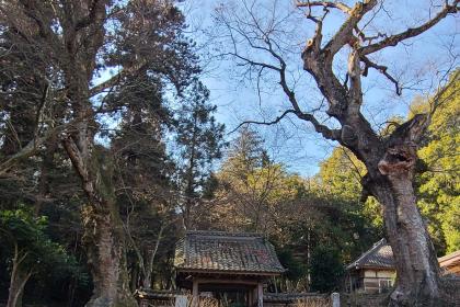 マラソン完走スクール　トレイル&ロード練習