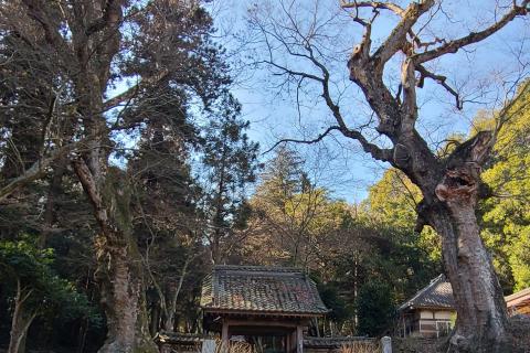 マラソン完走スクール　トレイル&ロード練習