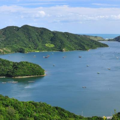 4/19島田島（鳴門市）一周「渡船ランニング」イベント