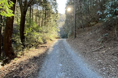 筑波峠走(一周)30K