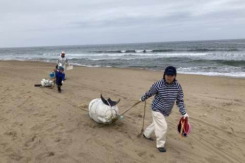 第10回 加賀海岸シーサイドトレイルラン 〜 片野海岸ビーチクリーニング