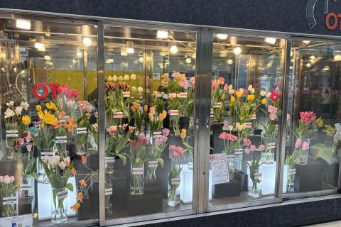 大田市場へ行こう！モーニング散走