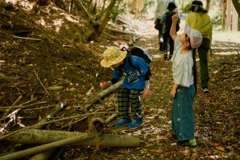 4月11日(土)13:30〜たけのこ掘り体験 in 波方