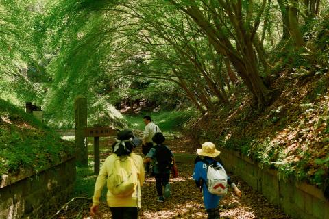 4月11日(土)13:30〜たけのこ掘り体験 in 波方