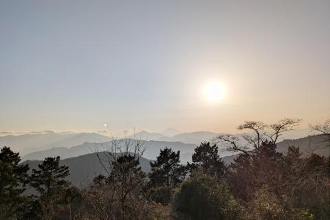 風たび天狗の高尾山トレイル探検走