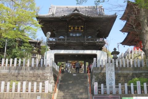 諏訪道を歩く①　７／１０ｋｍ 　団体歩行