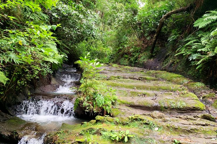 【探検×絶景】鎌倉秘境アドベンチャートレイル