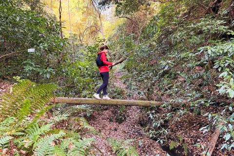 【探検×絶景】鎌倉秘境アドベンチャートレイル