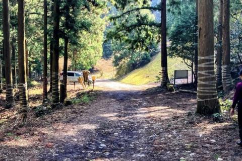 【4.26日曜】こんな綺麗な稜線を楽しみたい！滋賀・比良山系トレイルの旅