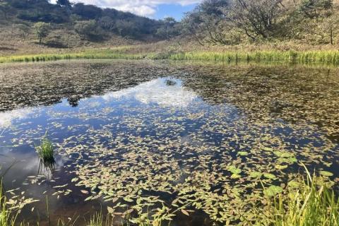 【4.26日曜】こんな綺麗な稜線を楽しみたい！滋賀・比良山系トレイルの旅