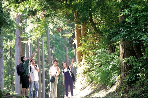 第7回 七尾城トレッキング〜春の陣〜 & TENKU cafe ランチ