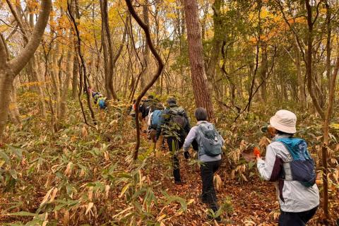 第7回 七尾城トレッキング〜春の陣〜 & TENKU cafe ランチ