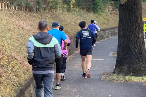 自然走　新規会員募集中　2026年　5月16日横浜　6月13日代々木公園