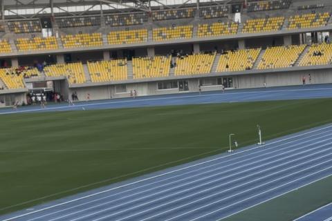 椿プロジェクト