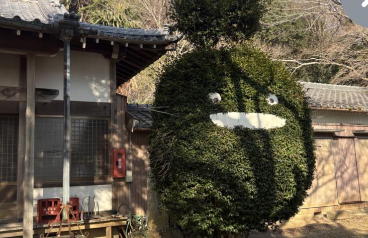 ここでしか見れないトトロがらいます！