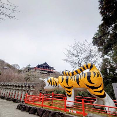 4/29(水祝)【チームガチキタ＠ウルトラ対策練】