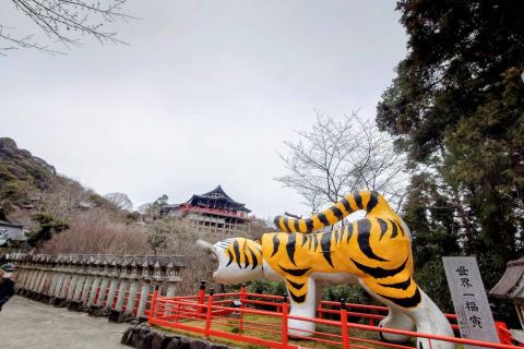 4/29(水祝)【チームガチキタ＠ウルトラ対策練】