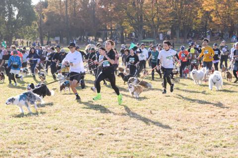 富士山麓を愛犬と走る！静岡カニクロス