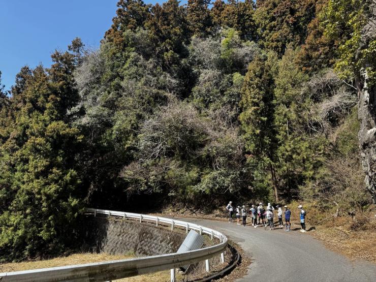 奥武蔵グリーンライン