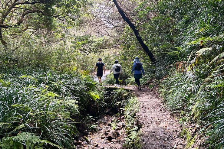 【鎌倉to逗子】古都とリゾートをつなぐ絶景ワンウェイトレイル