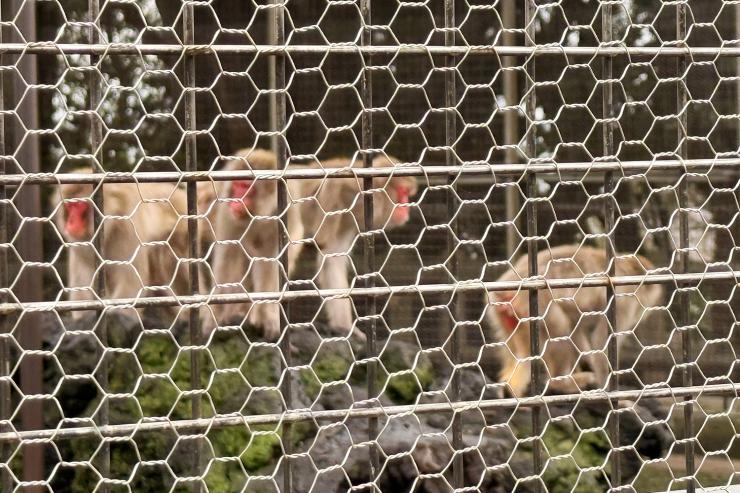 【鎌倉to逗子】古都とリゾートをつなぐ絶景ワンウェイトレイル