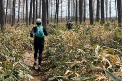 2026ゴールデンラーチトレイルトリップツアー春