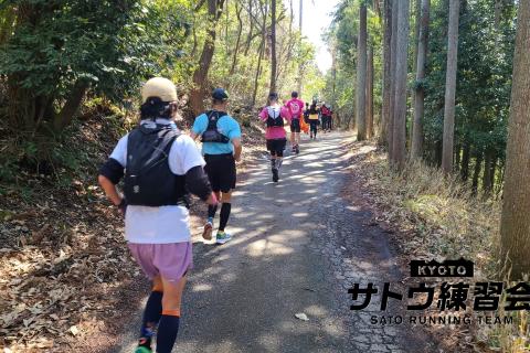 京都で最も遅咲きの桜 黒田百年桜お花見ラン 72k～58k 奈良ウルトラマラソン対策【サトウ練習会】