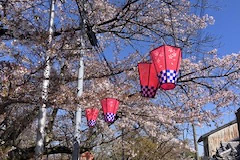 【水曜トレランseries】越境しようよ♪阪奈タイガーストレイルin信貴山