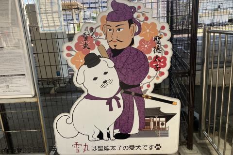 【水曜トレランseries】越境しようよ♪阪奈タイガーストレイルin信貴山