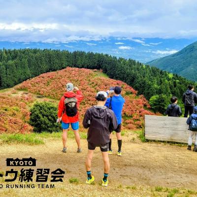 息をのむ赤いじゅうたん 絶景の葛城高原ツツジラン 47㌔【サトウ練習会】