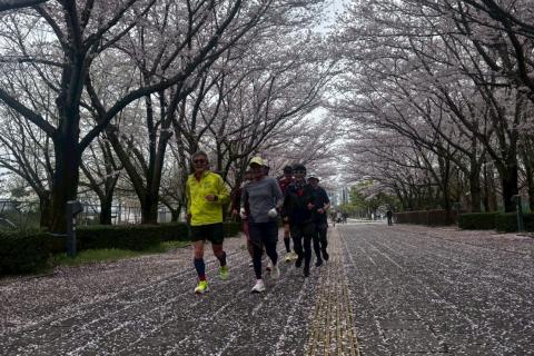 【4月19日】日曜・早朝練習会　ニッポンランナーズ＠柏の葉公園