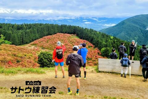 息をのむ赤いじゅうたん 絶景の葛城高原ツツジラン 47㌔ 23㌔【サトウ練習会】