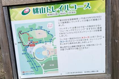 最終回、虫よけ必須【８月は桃山運動公園トレイルコース】3時間走【マイカップ必須】【ウォーク歓迎】