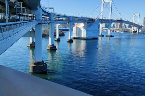 東京観光とレインボーブリッジラン2026