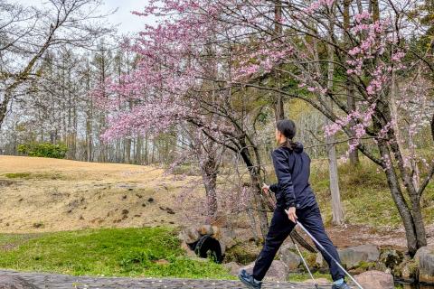 アクティブノルディックウォーキング
