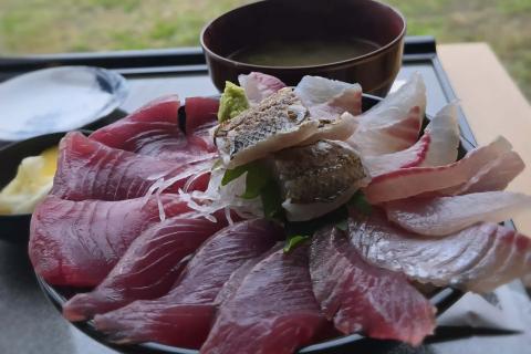 早川漁港へ腹ペコラン☆走って海鮮を食べにいこう！！