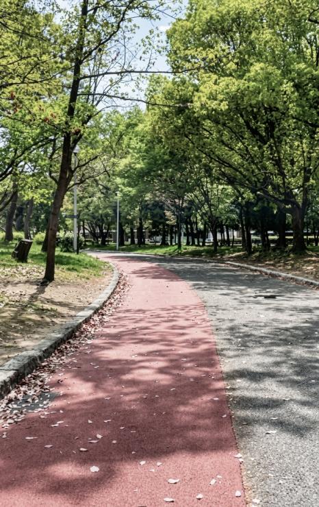 コースイメージ（走路にはラバーチップが塗装されており、適度なクッションと反発でランニングをサポートしてくれます）