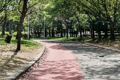 SAURUS 1500m CHALLENGE in KYUHOJI