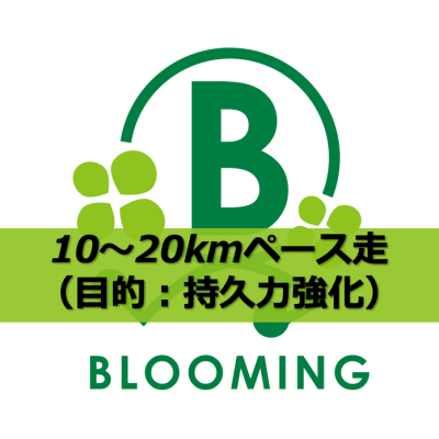 京都・西京極｜10〜20kmペース走練習会