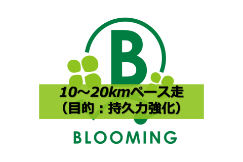 【1年間継続】マラソン目標達成練習会：【10〜20km】（目的：持久力強化）