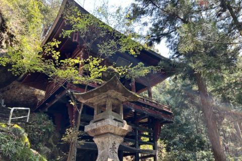 5月31日【秩父札所午歳総開帳記念】秩父札所巡礼ラン（札所二十六番〜三十番）