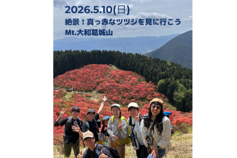 真っ赤なツツジを見に行こう！2026