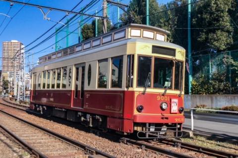 バラが見頃の都電沿いを行く、のんびり散策ラン