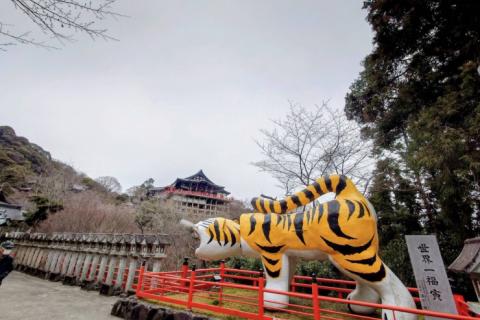 4/29(水祝)【チームガチキタ＠ウルトラ対策練】