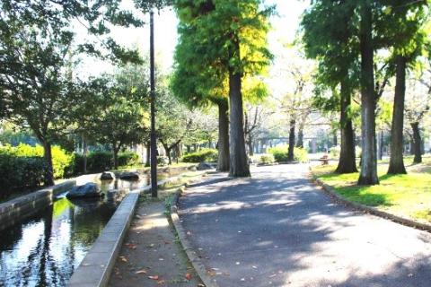 綾瀬から緑と水の公園巡り②　６ｋｍ　団体歩行