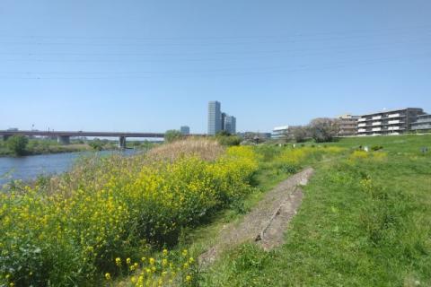 Saturday Community Run(二子玉川グラベルラン)