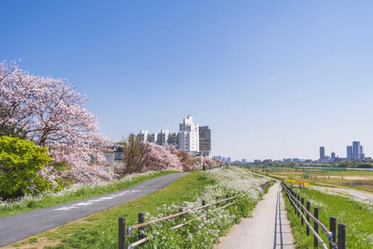 鵜の木parkrun