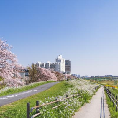 鵜の木parkrun